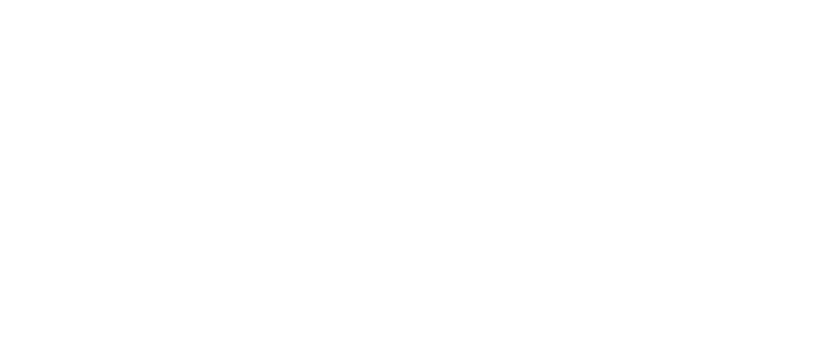 Brinks transport
